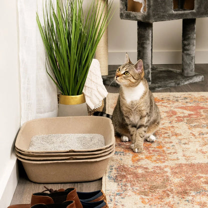 Eco-Friendly Disposable Litter Box Jumbo for Cats (Pack of 6)